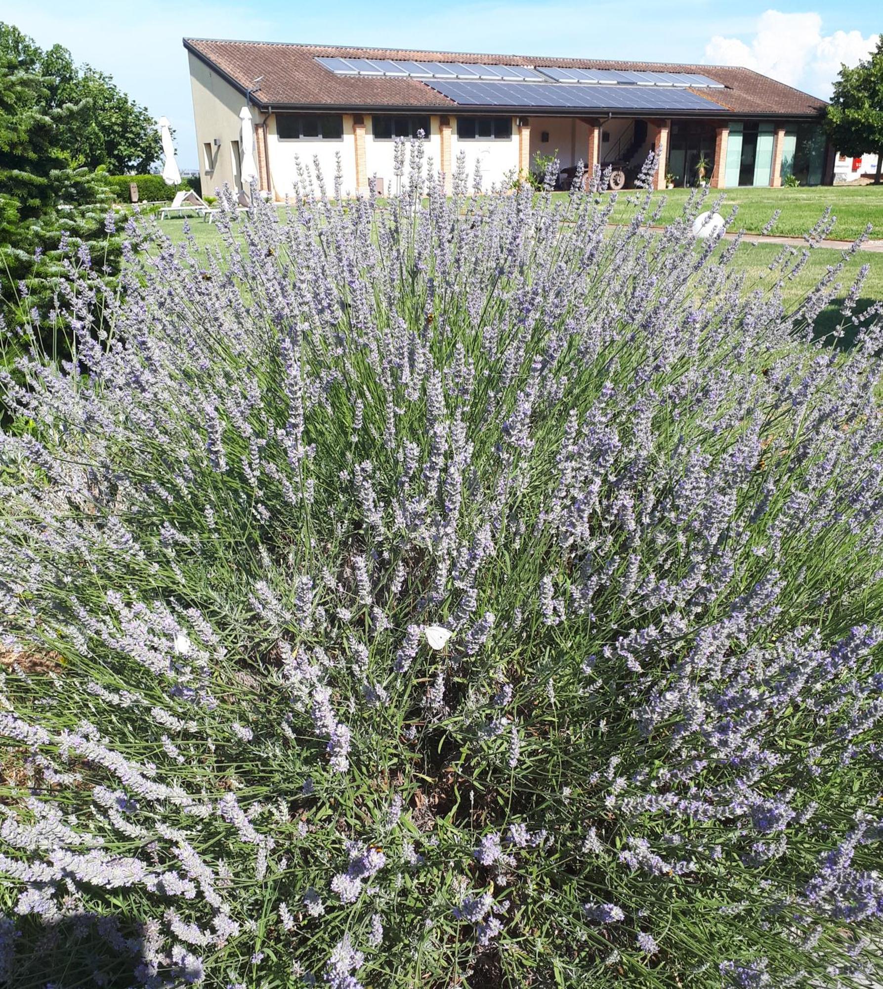 Agriturismo Casalbergo